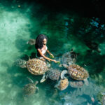 Zanzibar-turtles-sanctuary-Swim-with-turtles