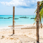 beautiful colorful seascape with hammock and palm on a beach