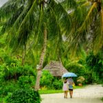 Couple in Maldives walking in the rain at lunchtime. Rain on the dream island. Walking on sandy road with blue umbrella. holiday concept. Luxury hotel