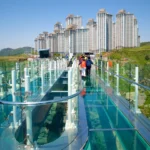 246856-Busan