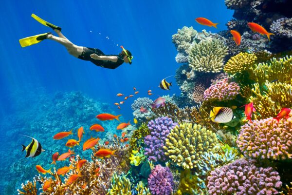 Red Sea Retreat: From Cairo to Sharm & the Sinai Mountains - Image 4