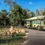 4rhq03Rm-vinpearl-safari-phu-quoc-1-1