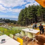 sunnyland-1589900137