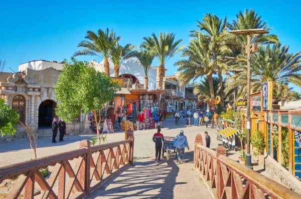 Red Sea Retreat: From Cairo to Sharm & the Sinai Mountains - Image 5