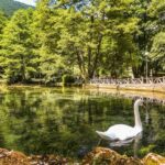 vrelo-bosne-1588254399