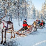 Family,With,Kids,At,Reindeer,Safari,In,Winter,Forest,In