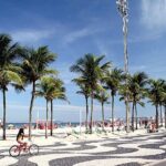 WhatsApp Image 2025-12-15 at 3.01.52 PM