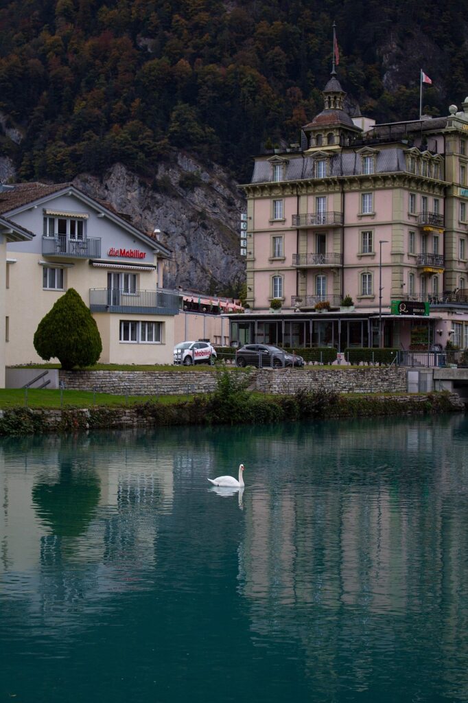 interlaken, reflection, flow, dark, swan, house, switzerland, interlaken, interlaken, interlaken, interlaken, interlaken