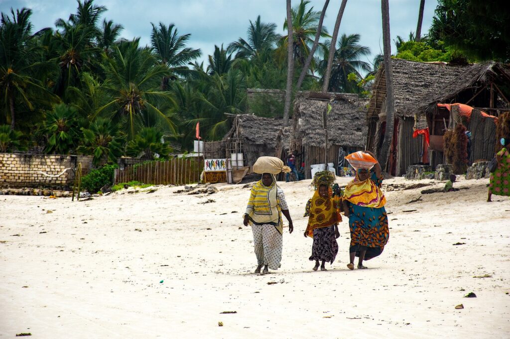 woman, africa, zanzibar, island, nature, women, zanzibar, zanzibar, zanzibar, zanzibar, zanzibar