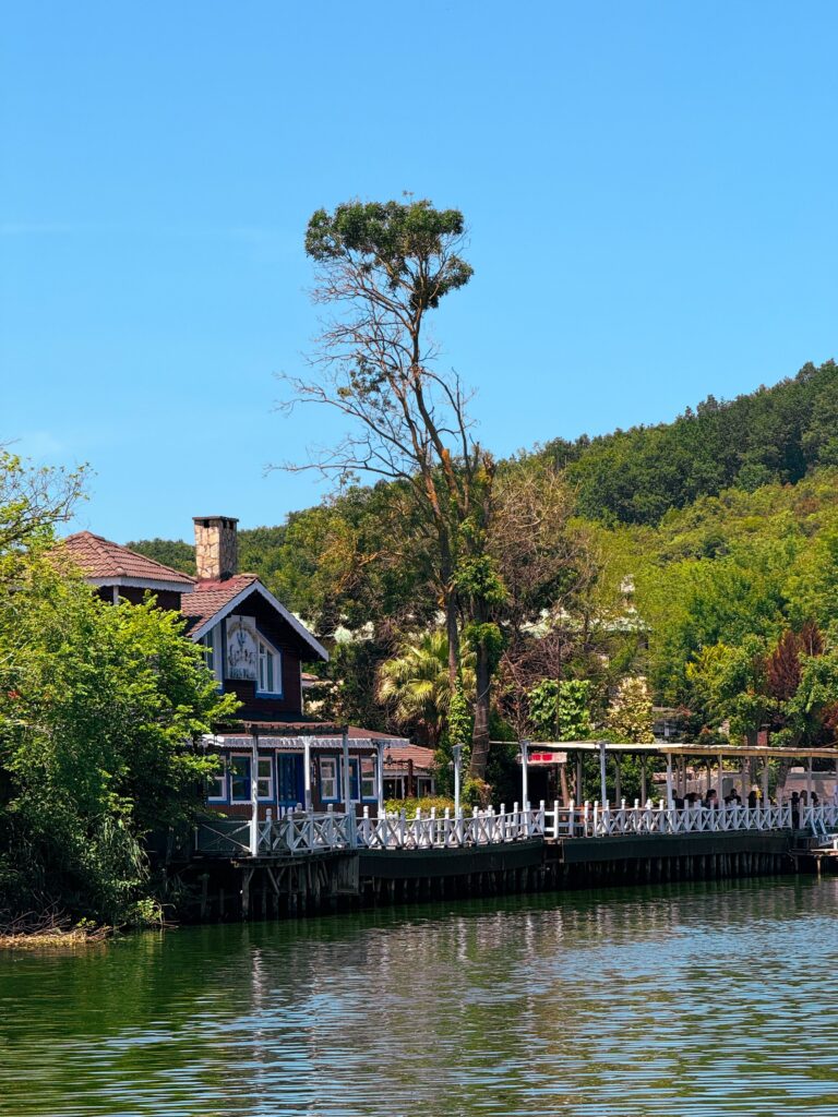 A picturesque riverside house surrounded by lush green nature on a sunny day.