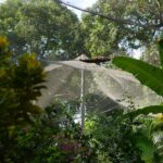 the-butterfly-garden