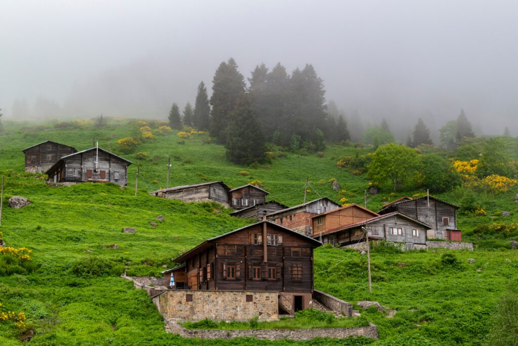 A serene view of wooden houses on a lush green, misty hillside in Rize, Türkiye.