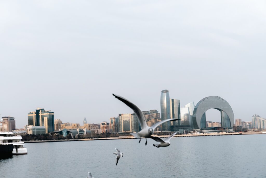 Seagulls hover over Baku's skyline, showcasing modern architecture against serene waters.